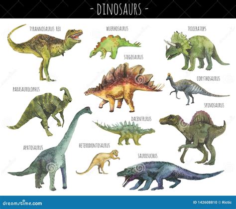 Realistic Dinosaurs Illustration Cartoon Vector | CartoonDealer.com ...