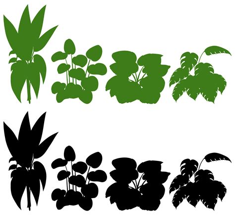 Silhouette Plant Svg - 1419+ File for DIY T-shirt, Mug, Decoration and more - Free SVG Graphics