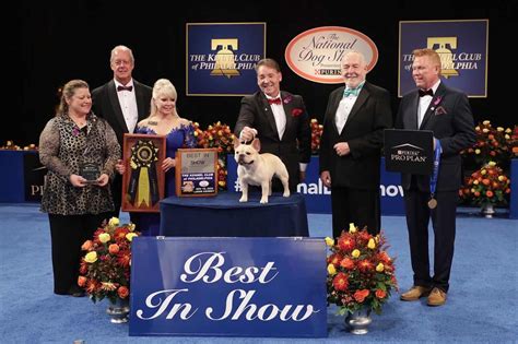 National Dog Show Winners! - The Animal Law Firm