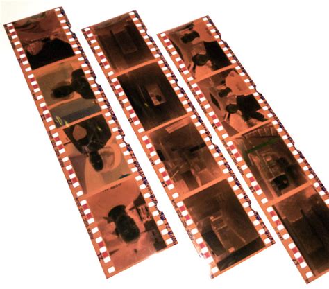 digital photos to slides or negative film | Experimental art ideas, Antique photography, Film ...