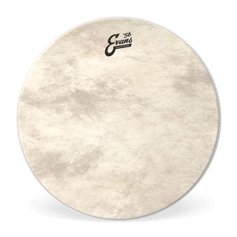 Evans Calftone Bass Drum Head, 22 Inch - EVANS