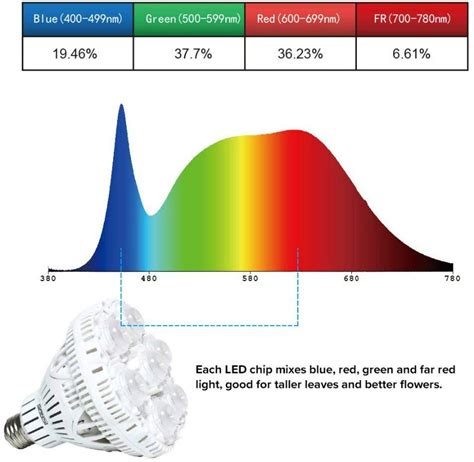 How to Grow Beautiful Plants with SANSI LED Grow Lights! # ...