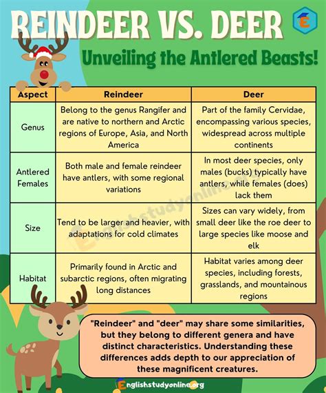 Reindeer vs. Deer: Exploring the Physical and Behavioral Differences ...