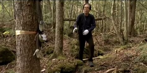 2010 Vice Documentary Explores Aokigahara, Japan's Suicide Forest