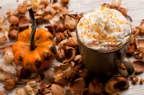 How To Make Healthy, Natural And Gourmet Fall Pumpkin Drinks - Off The Grid News