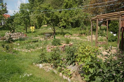 How to Create a Vertical Permaculture Garden – Men Of The West