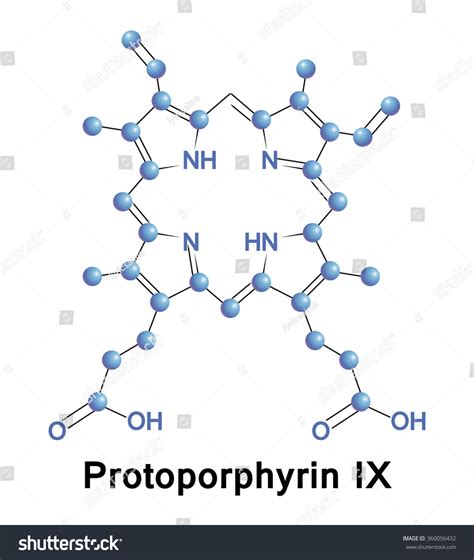 Protoporphyrin Ix Skeletal Structure Medical Vector Stock Vector (Royalty Free) 360056432 ...