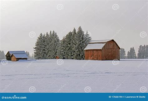 Snowy Farm #2 stock photo. Image of hoarfrost, pasture - 17666194