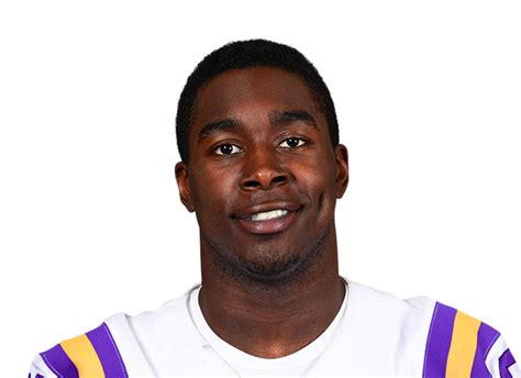 Mike Williams - LSU Tigers Defensive End - ESPN