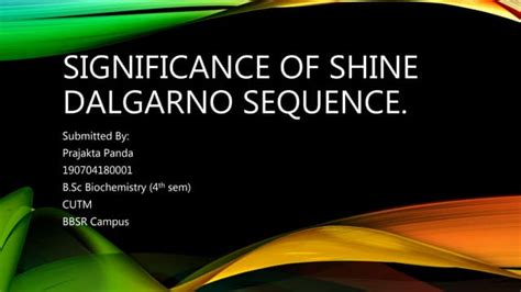 Significance of shine dalgarno sequence | PPT