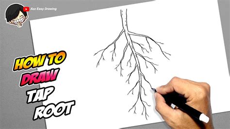 How to draw Tap Root - YouTube