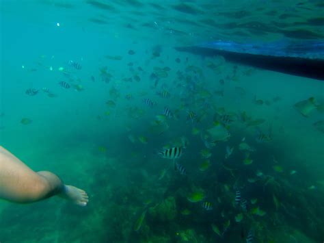 H E L L O ♥ K I M M Y : Snorkeling at Hundred Islands Coral Garden