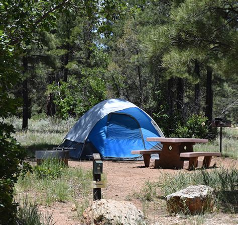 Kaibab National Forest - Home