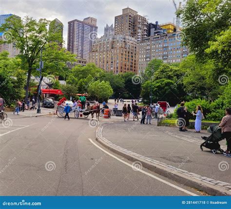 Central Park carriage tour editorial stock photo. Image of vehicle ...