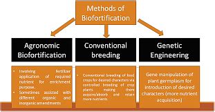 Biofortification: Definition, Procedure, Purpose