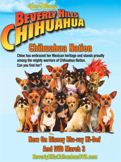 Poster Beverly Hills Chihuahua (2008) - Poster Chihuahua de Beverly ...