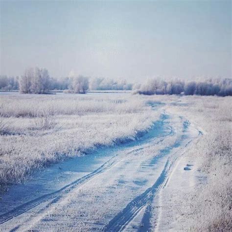 Winter in the Estonian countryside | Scenery, Estonia, Winter pictures