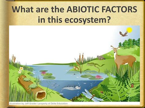 Ocean Ecosystem Biotic And Abiotic Factors