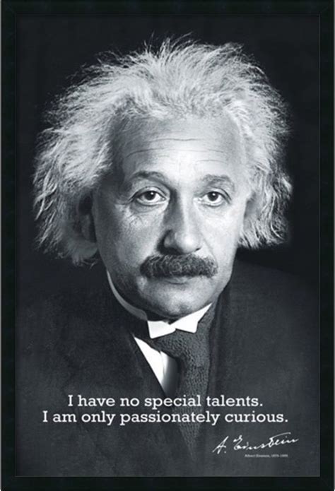 Albert Einstein Quotes: Brain Food for Curious Minds