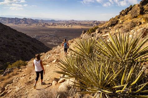 The 3 Best Hikes in Joshua Tree National Park | REI Co-op Adventure Center