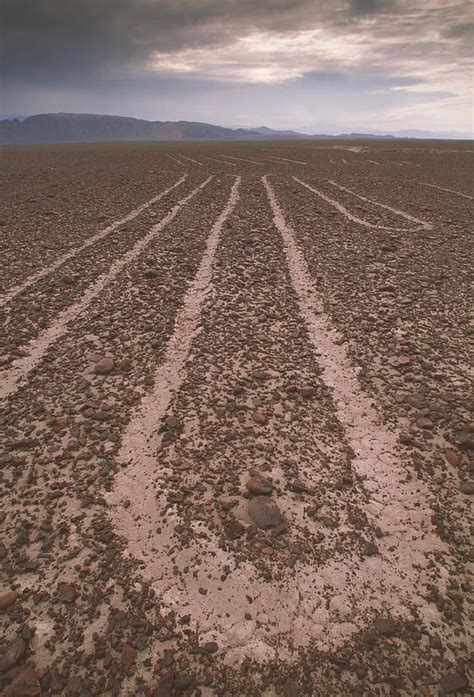 45 best images about Nazca Mysteries on Pinterest | South american history, Aliens and Geometric ...