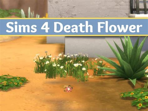 Sims 4 Death Flower: A Simple Guide - We Want Mods