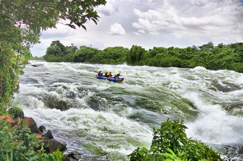 5 Days Gorilla trekking and Jinja white water rafting safari | Uganda Tour