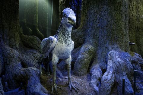 New Forbidden Forest Area Spotlights Creatures and Craftsmanship at the Harry Potter Studio Tour ...