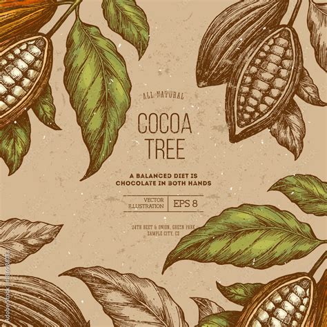 Cocoa bean tree frame design template. Engraved style illustration ...