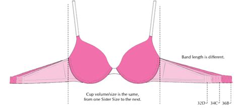 Bra Sister Sizes: The Bra Fitting Secret You Need to Know | Upbra