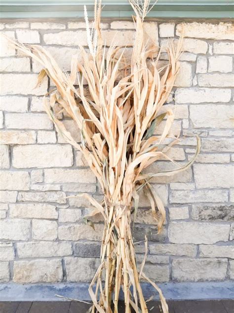 Dried Corn Stalk Bundle Great for Fall Decorating - Etsy