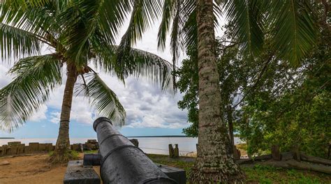 Visitez Suriname : le meilleur à Suriname, Amérique du Sud en 2024 | Tourisme Expedia