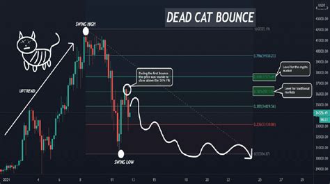 Pengertian Dead Cat Bounce Dalam Dunia Crypto - TrendRadars