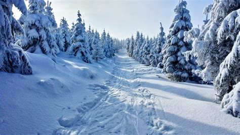 Winter Staycation Ideas in Michigan | Around Michigan