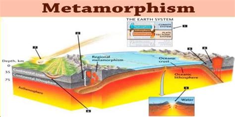 Metamorphism - Assignment Point