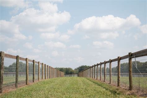 #horsefence #mesh #vmesh | Horse fencing, Horses, Horse barn plans