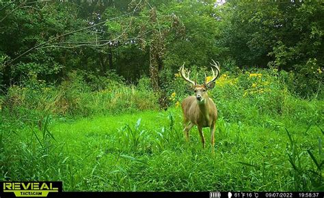 Ohio Hunter Shoots 21-Point Buck, Recovers It with His Foot - Realtree Camo