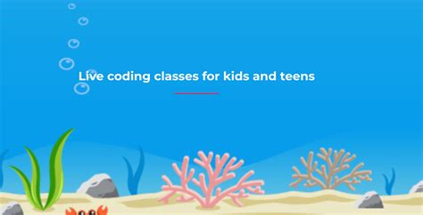 Teach Coding Smart Kids