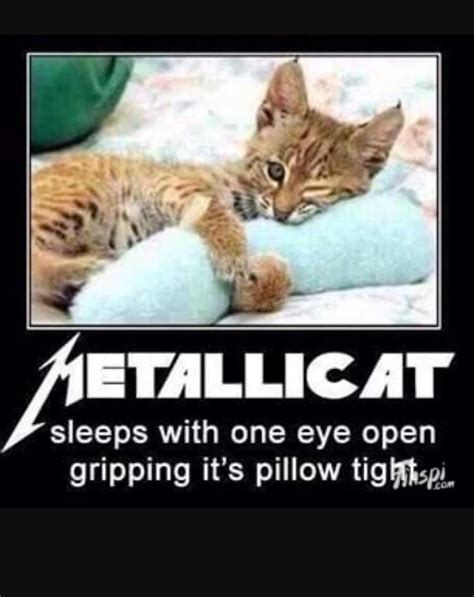 Best metalhead memes (my opinion) | Metal Amino