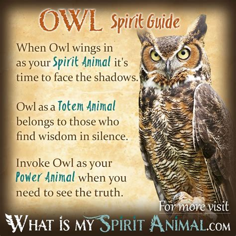Meet your #SpiritAnimal! Take the real, fun & accurate Spirit Animal Quiz, now! | Animal totem ...