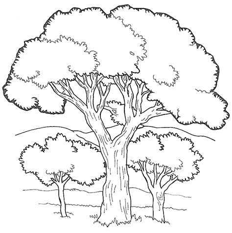 The BEST Earth Day Coloring Pages | Earth day coloring pages, Tree coloring page, Coloring pages