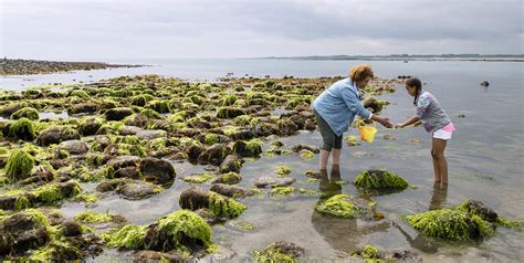 How Biodiversity Loss Harms Human Health | unfoundation.org