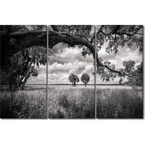 TISHIRON 3PCS Framed Black and White Tree Landscape Theme Canvas Wall ...