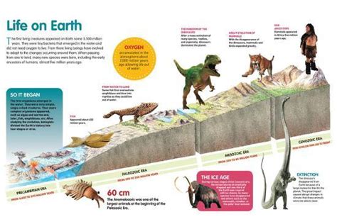 'Infographic That Describes Evolution of Life on Earth Throughout the ...