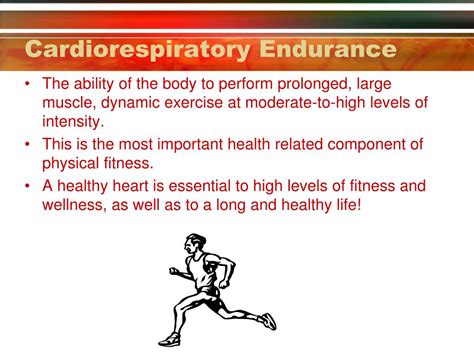 PPT - CARDIORESPIRATORY ENDURANCE PowerPoint Presentation, free download - ID:790999