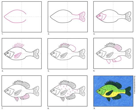 How To Draw A Fish Step By Step Easy For Kids : In this simple step by ...