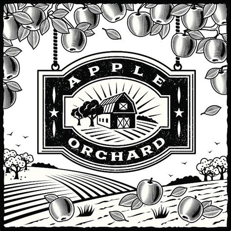 Apple Orchard Illustrations, Royalty-Free Vector Graphics & Clip Art ...