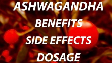 Ashwagandha Benefits And Side effects | Natural Testosterone Booster - Hindi - YouTube