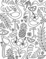 Tropical Flamingo Coloring Pages  Instant Download Etsy sketch template