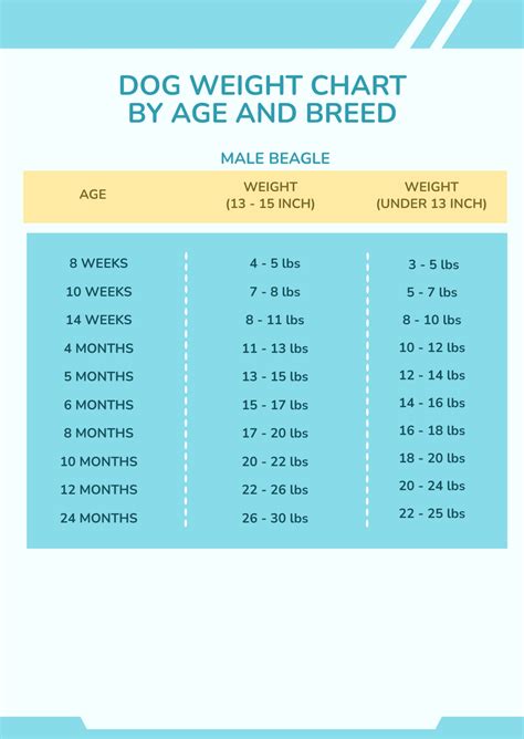 Dog Weight Chart By Age And Breed in PSD - Download | Template.net